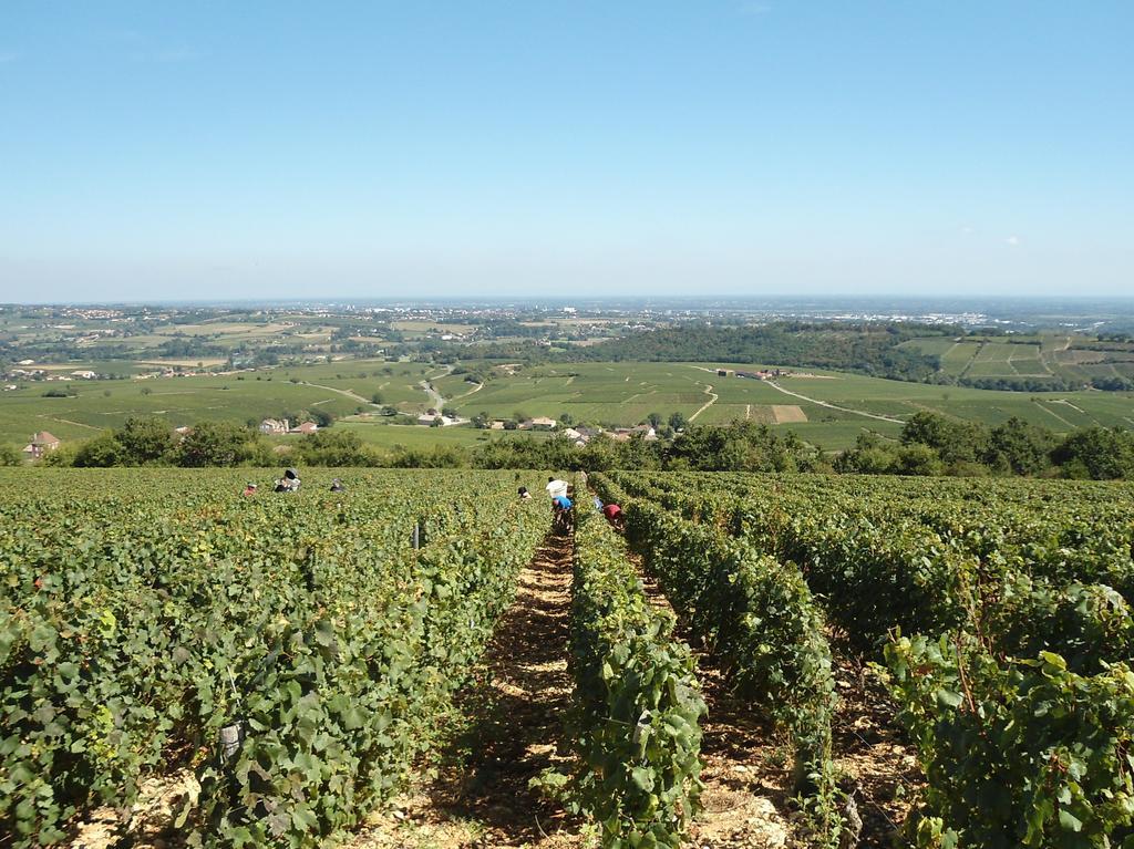 Le Haut De Collonge Saint-Boil Exterior photo